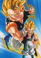 Dragon_Ball______57ce45f14a181.jpg